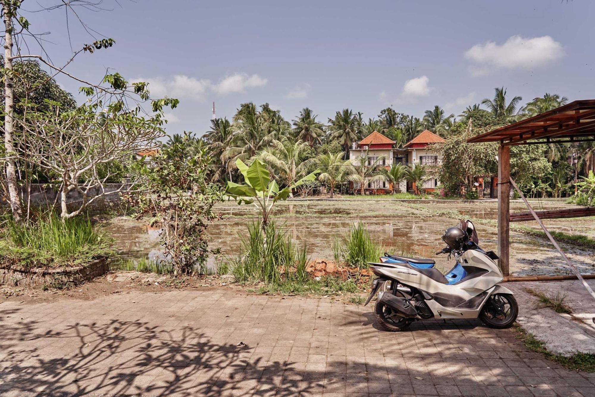 The Pause Inn - Soca 1 อูบุด ภายนอก รูปภาพ